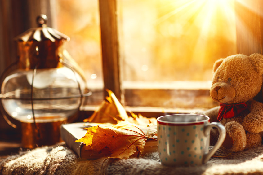 11月　november 　 秋の静物、ウィンドウ、熱いお茶マグカップ本とテディベア