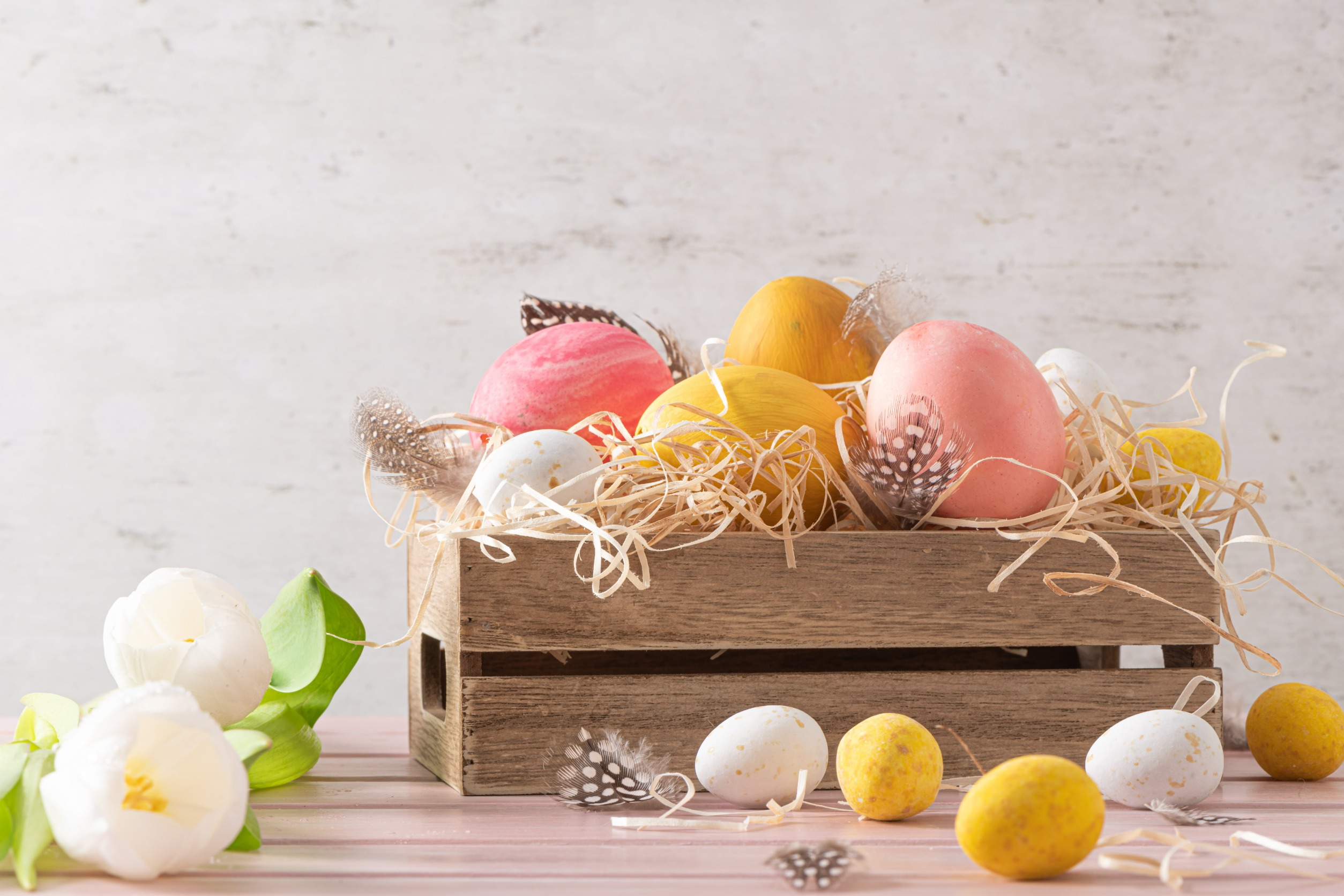 4月　april  木製の箱と白いチューリップのイースターピンク、黄色、白の卵