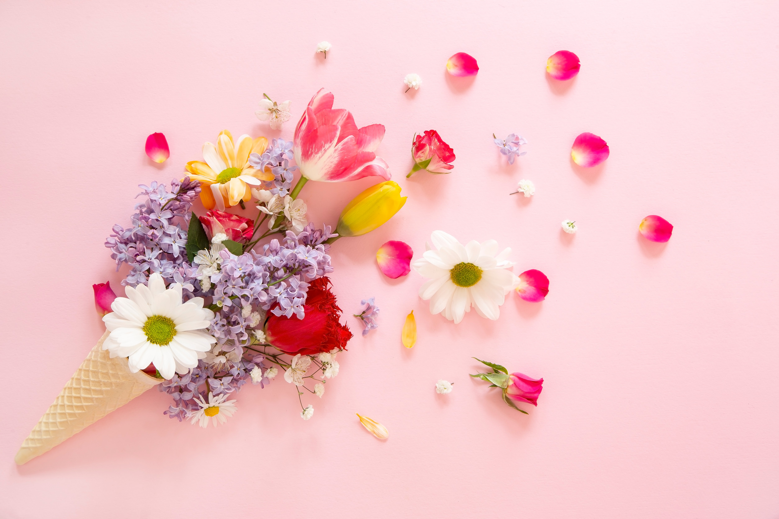 3月 March ピンクの背景にアイスクリームコーンの春の花